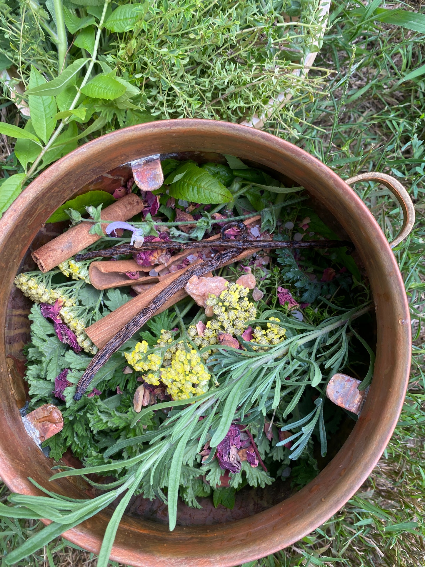 Distilling Workshop with Monique from Alchemy Slowliving Studios, Saturday November 11th @ 10:00 am